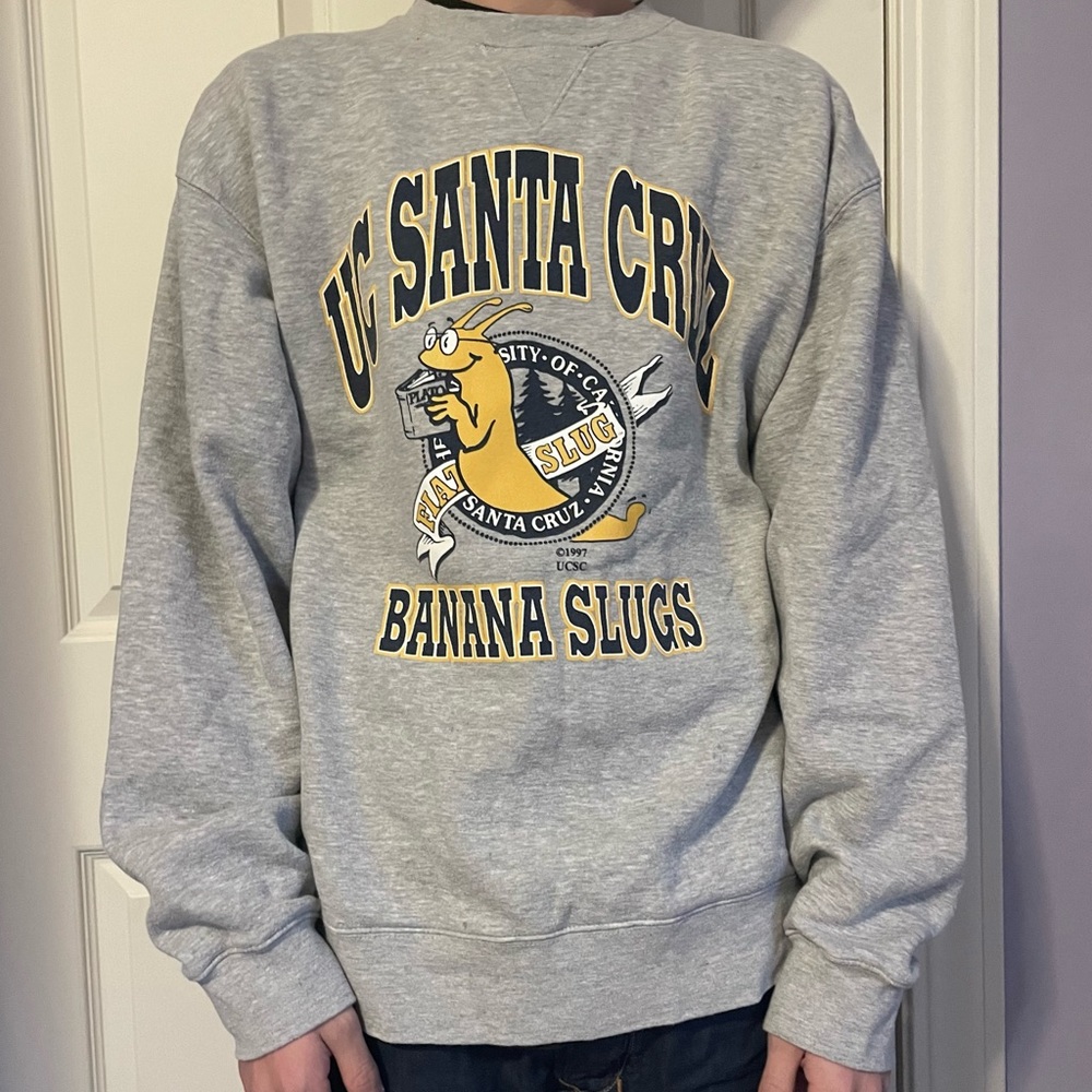 UC SANTA CRUZ GRAY GRAPHIC CREWNECK